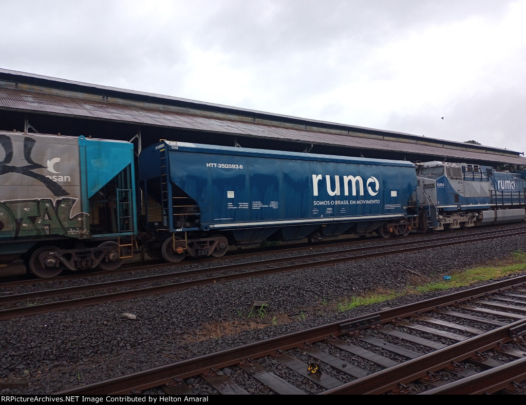 RUMO HTT-350593-6